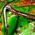 Rost-und-Lack-14