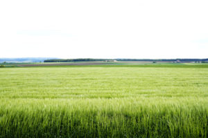 Frankenwald bei Ansbach