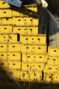 rust and paint 5